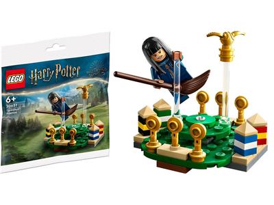 LEGO Harry Potter Quidditch Practice 30651