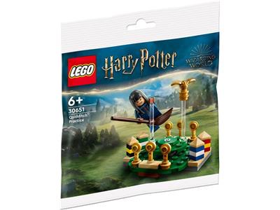 LEGO Harry Potter Quidditch Practice 30651